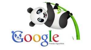 google panda y el contenido de calidad