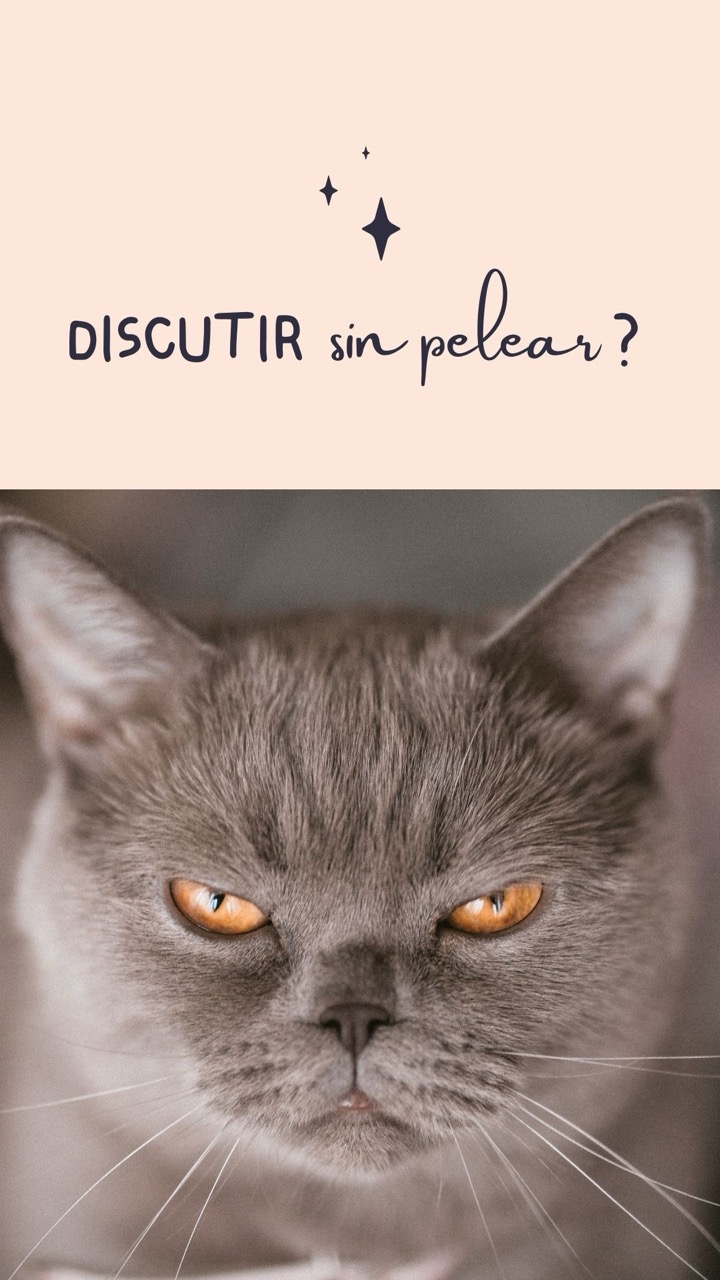 ¿Cómo discutir con un cliente sin pelear?